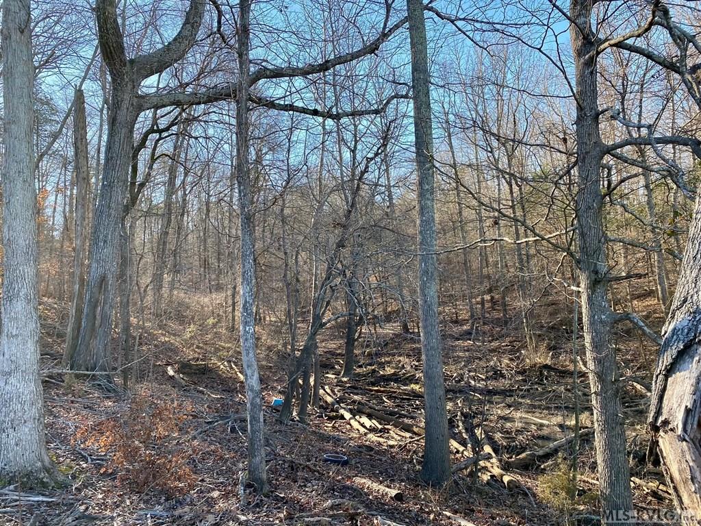 Lot 45 Buffalo Drive