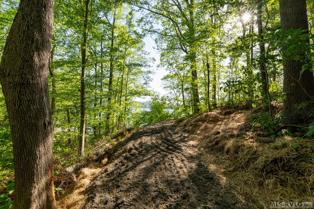 84 Lost Forest Road