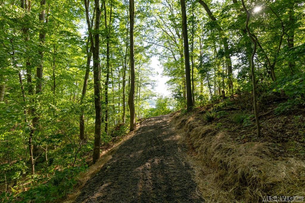 84 Lost Forest Road