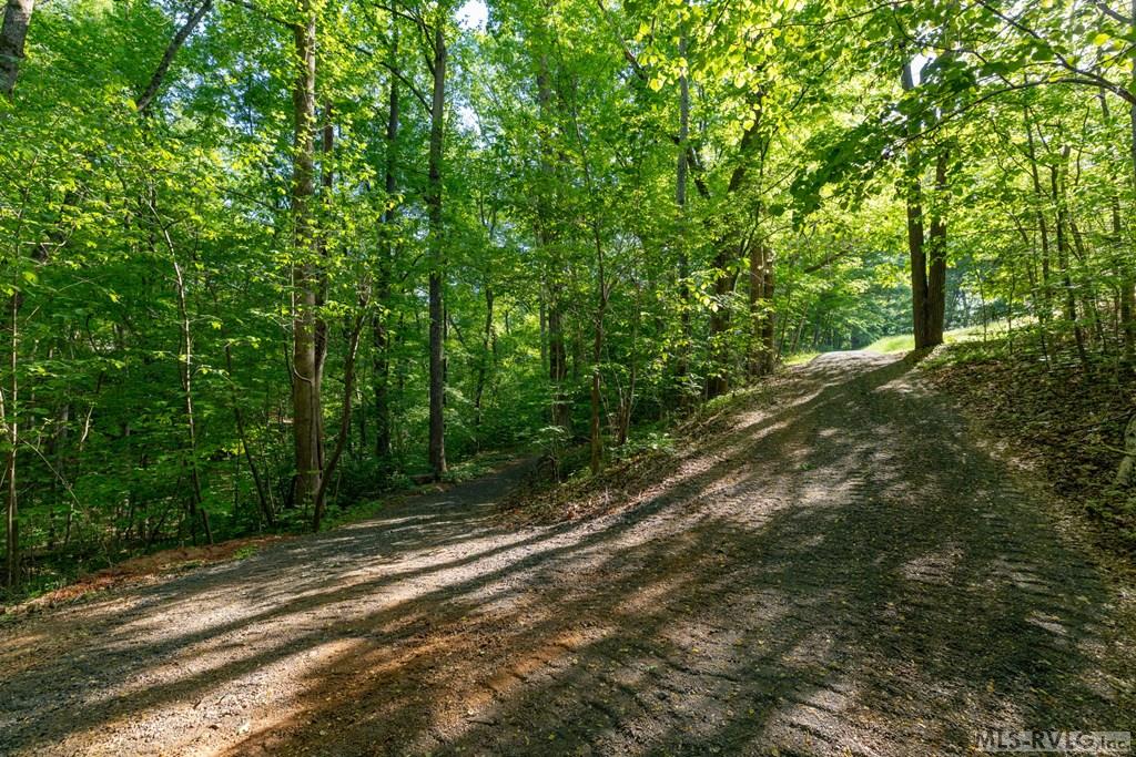 84 Lost Forest Road