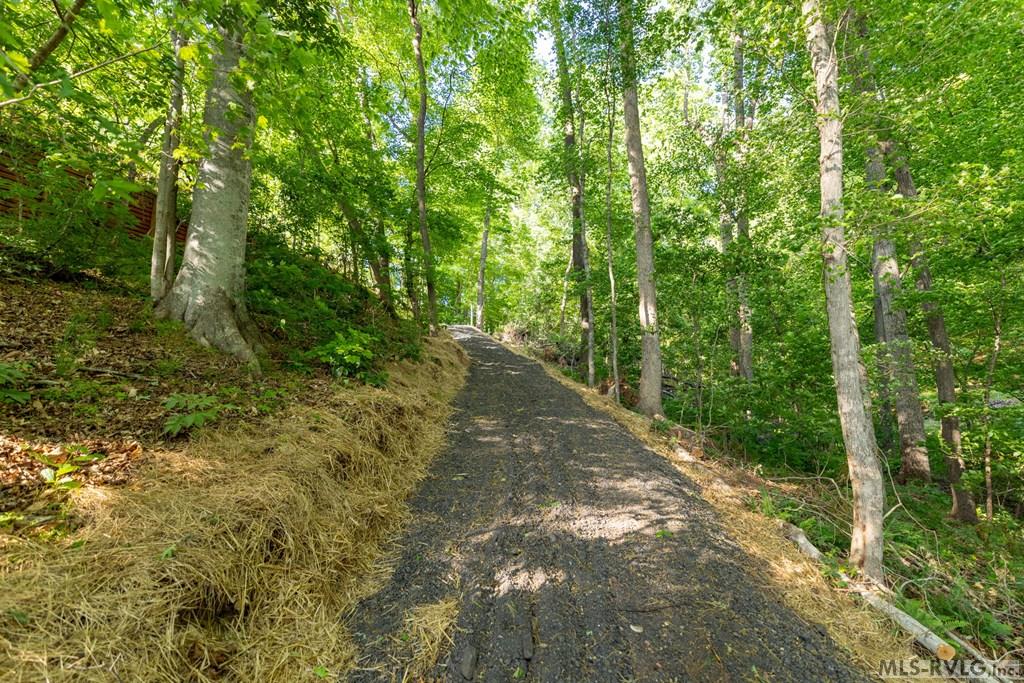 84 Lost Forest Road