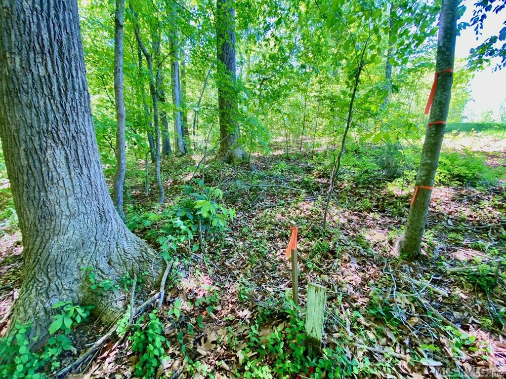 Lot 5 Palomino Road