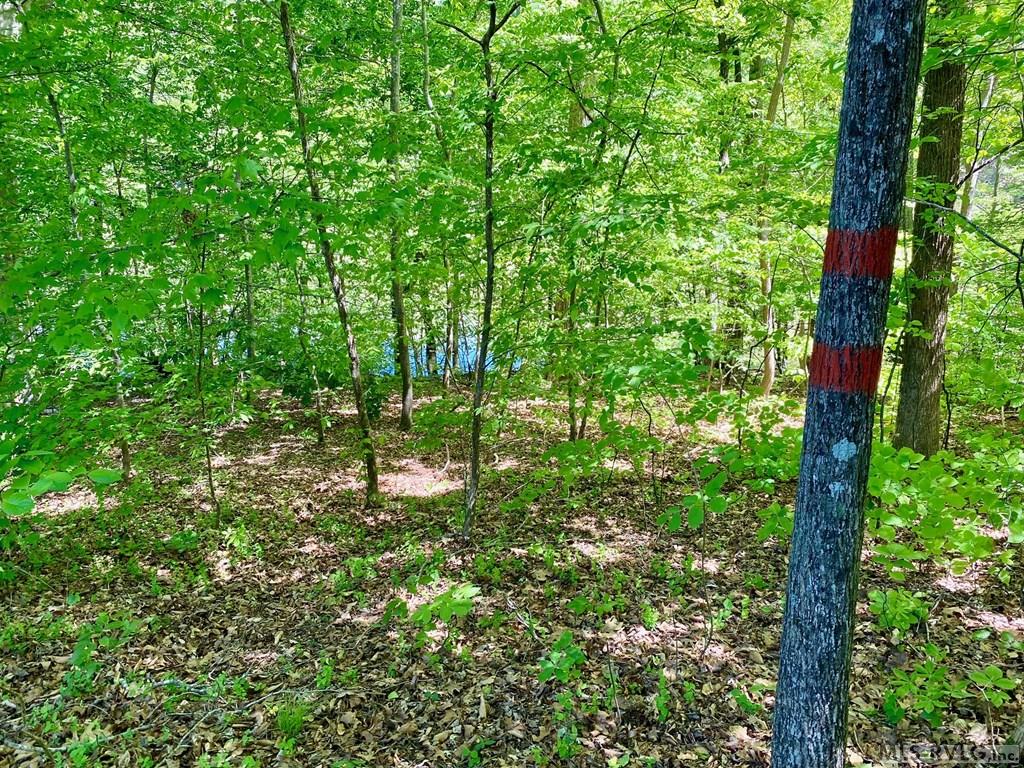 Lot 5 Palomino Road