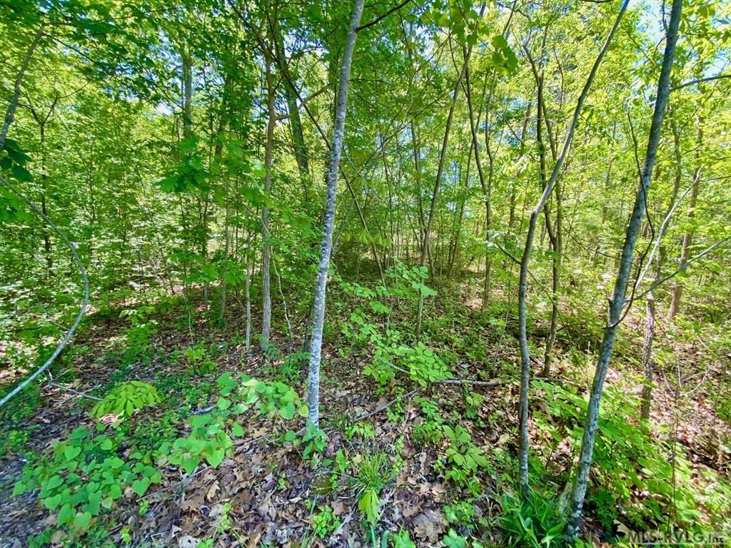 Lot 5 Palomino Road