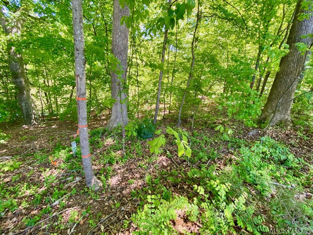 Lot 5 Palomino Road