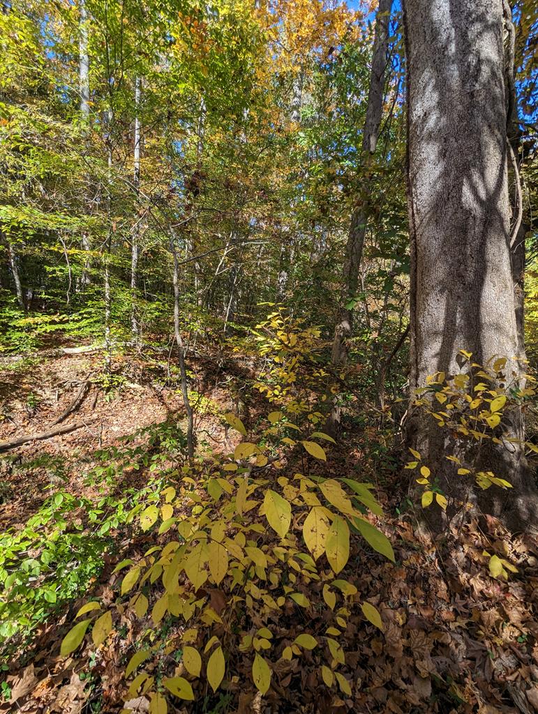 Lot 16 Grace Stone Drive