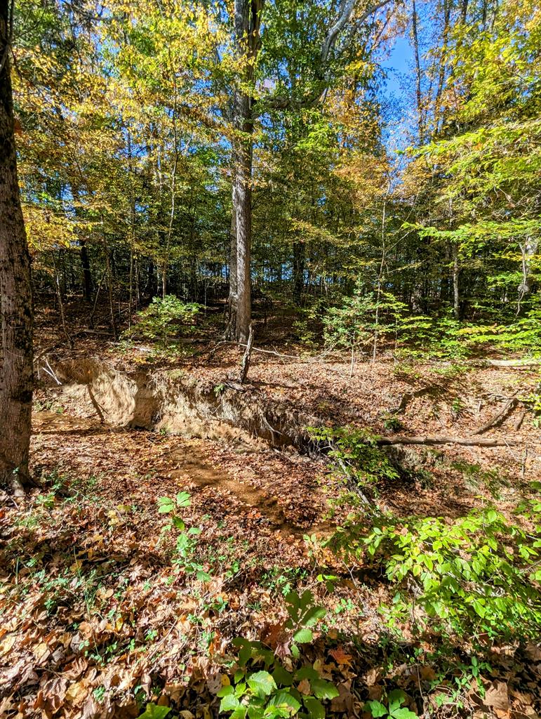 Lot 16 Grace Stone Drive