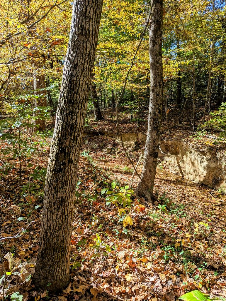 Lot 16 Grace Stone Drive