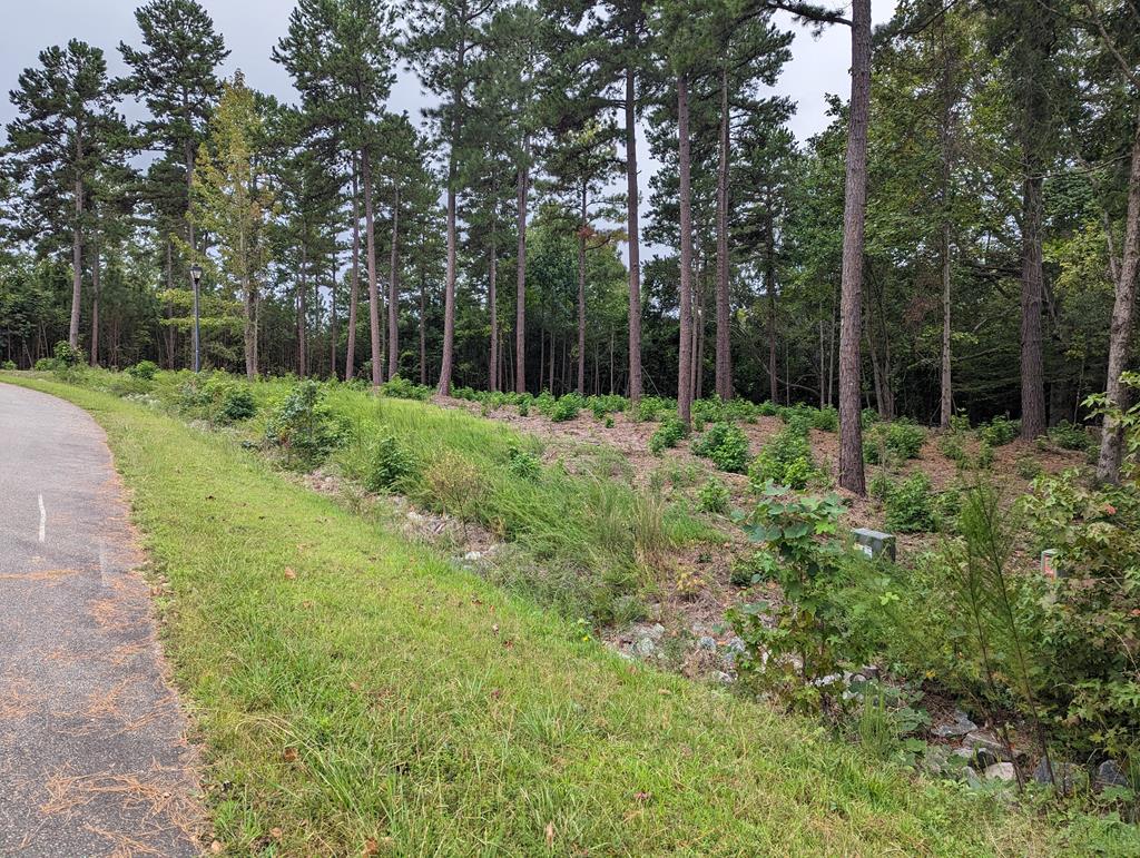 Lot 19 Grace Stone Drive