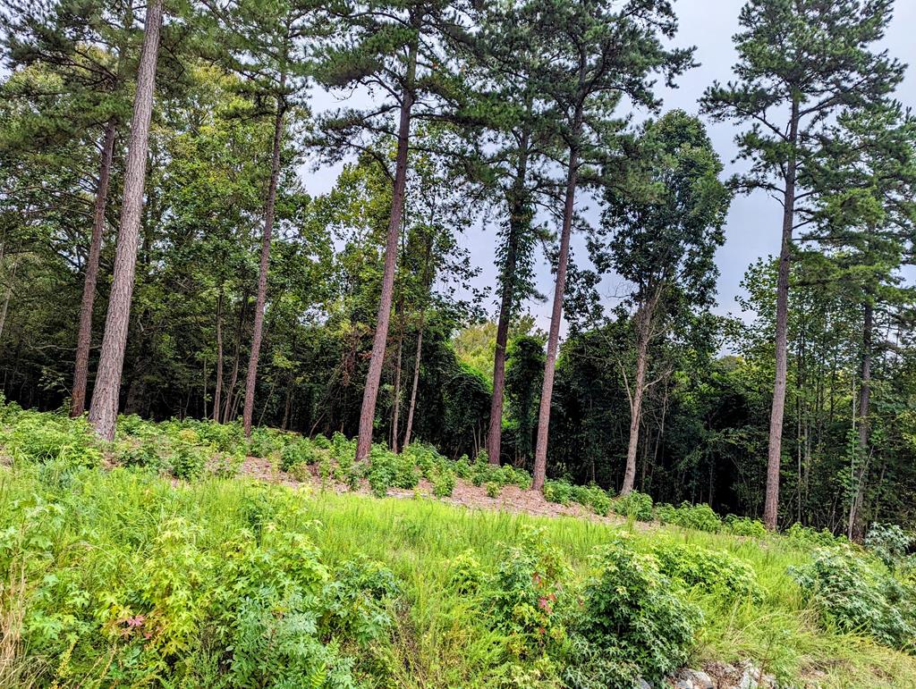 Lot 18 Grace Stone Drive