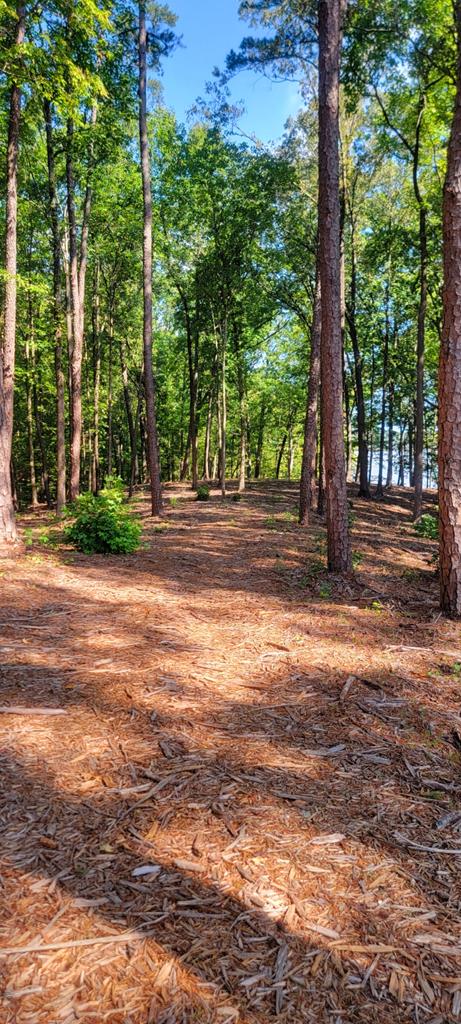 Lot 7 Belle Vista Drive