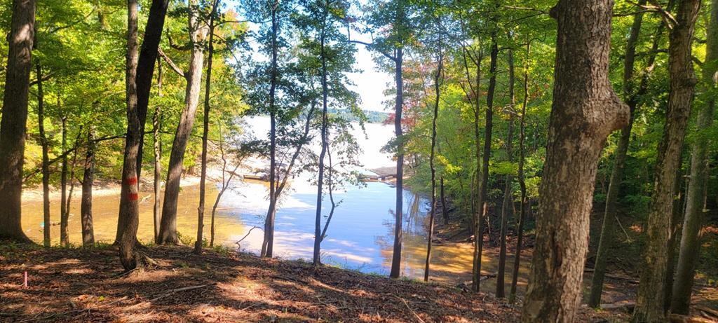 Lot 7 Belle Vista Drive