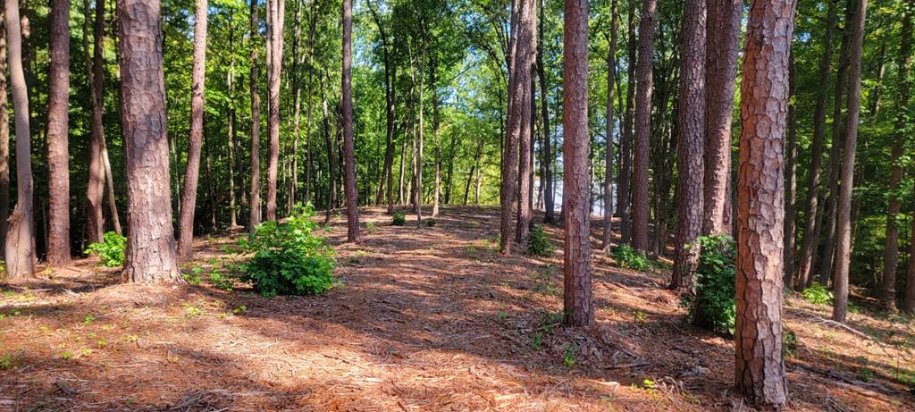 Lot 7 Belle Vista Drive