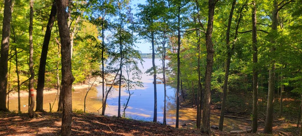 Lot 7 Belle Vista Drive