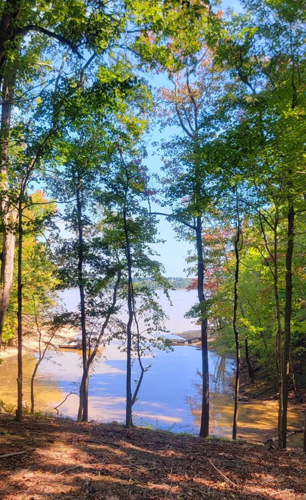 Lot 7 Belle Vista Drive