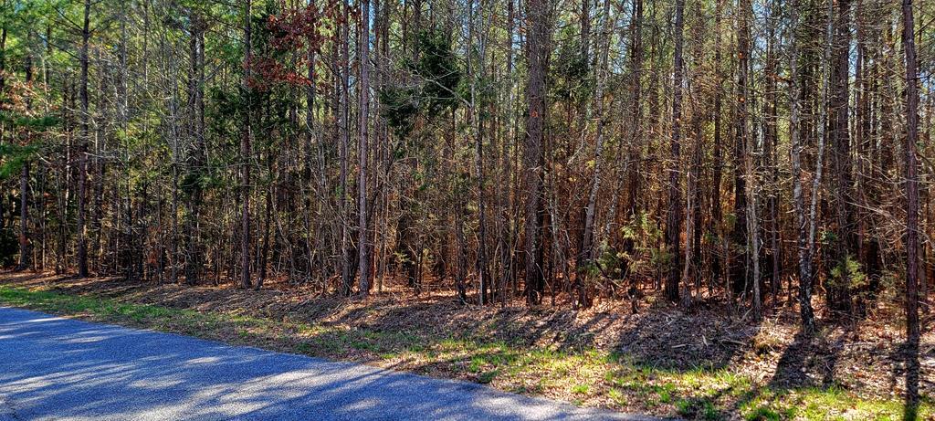 W Orgainsville Road