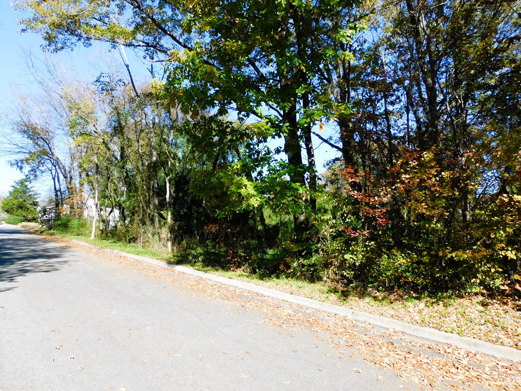 4.70 AC Hamilton Boulevard