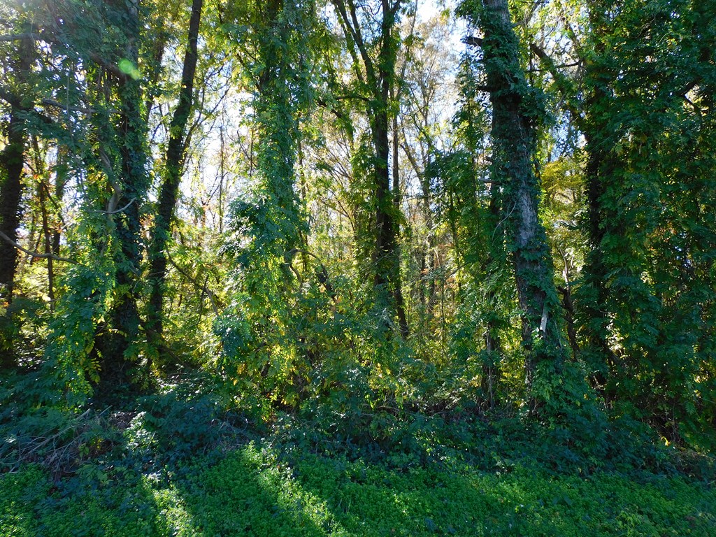 4.70 AC Hamilton Boulevard