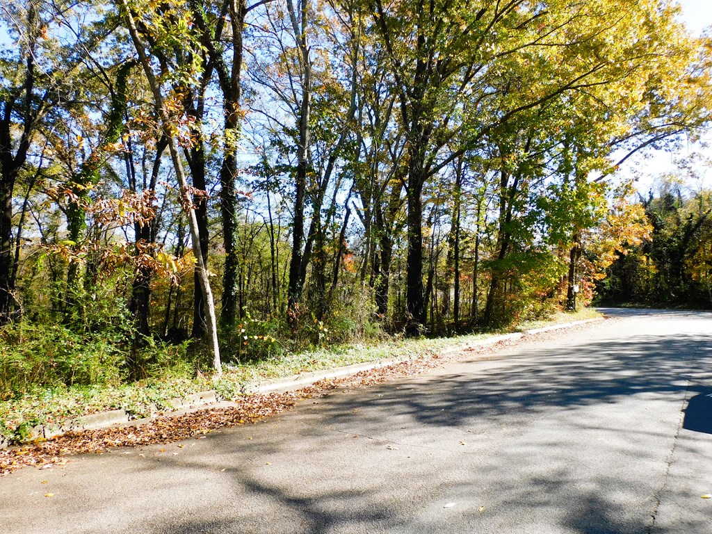 4.70 AC Hamilton Boulevard