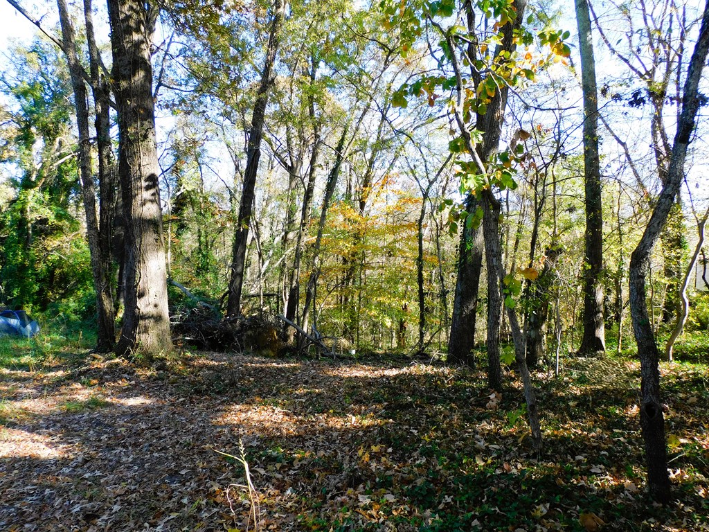 4.70 AC Hamilton Boulevard