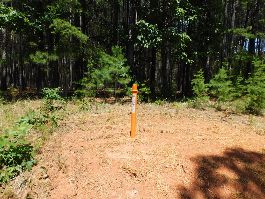 3.50 AC Neals Corner Road