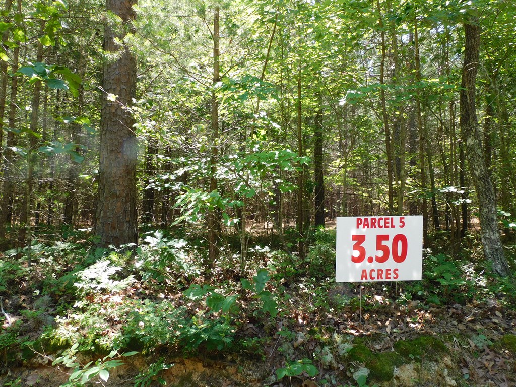 3.50 AC Neals Corner Road