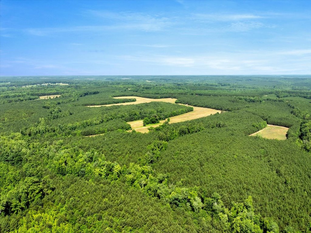 3.50 AC Neals Corner Road