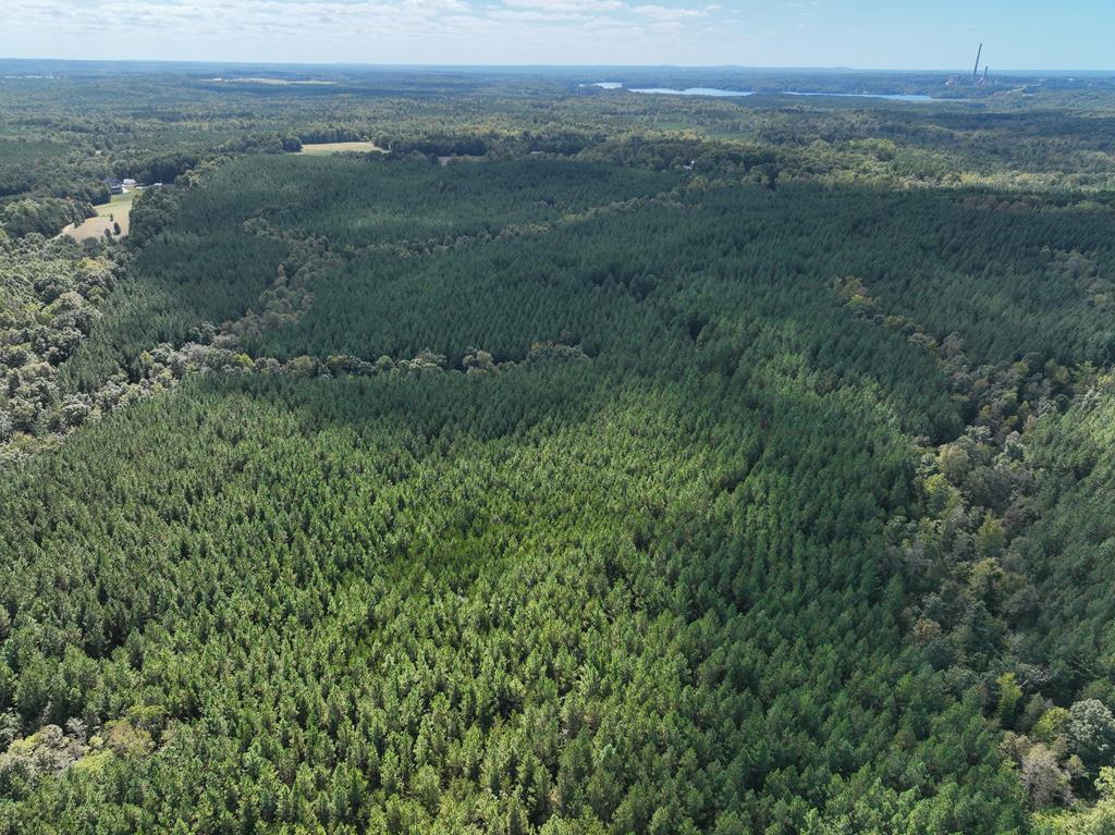 87.39 AC Virgilina Road