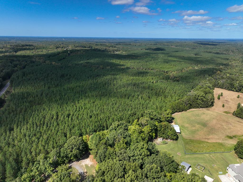 87.39 AC Virgilina Road
