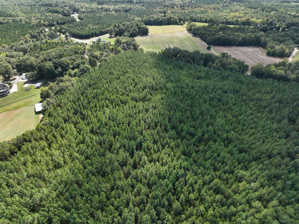87.39 AC Virgilina Road