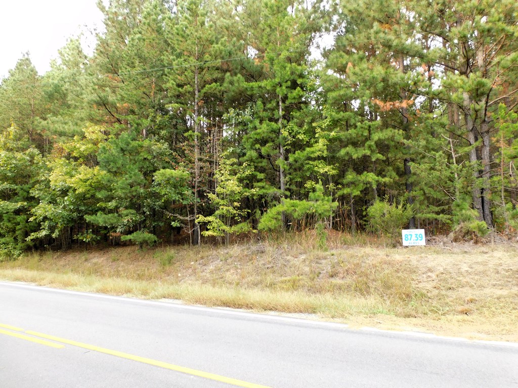 87.39 AC Virgilina Road