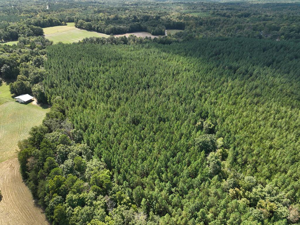 87.39 AC Virgilina Road