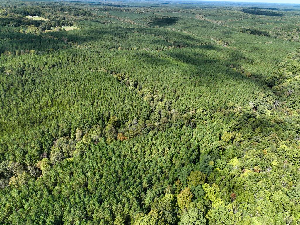 87.39 AC Virgilina Road