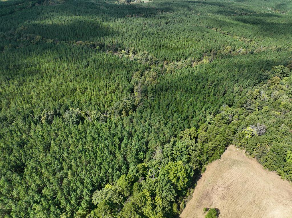 87.39 AC Virgilina Road