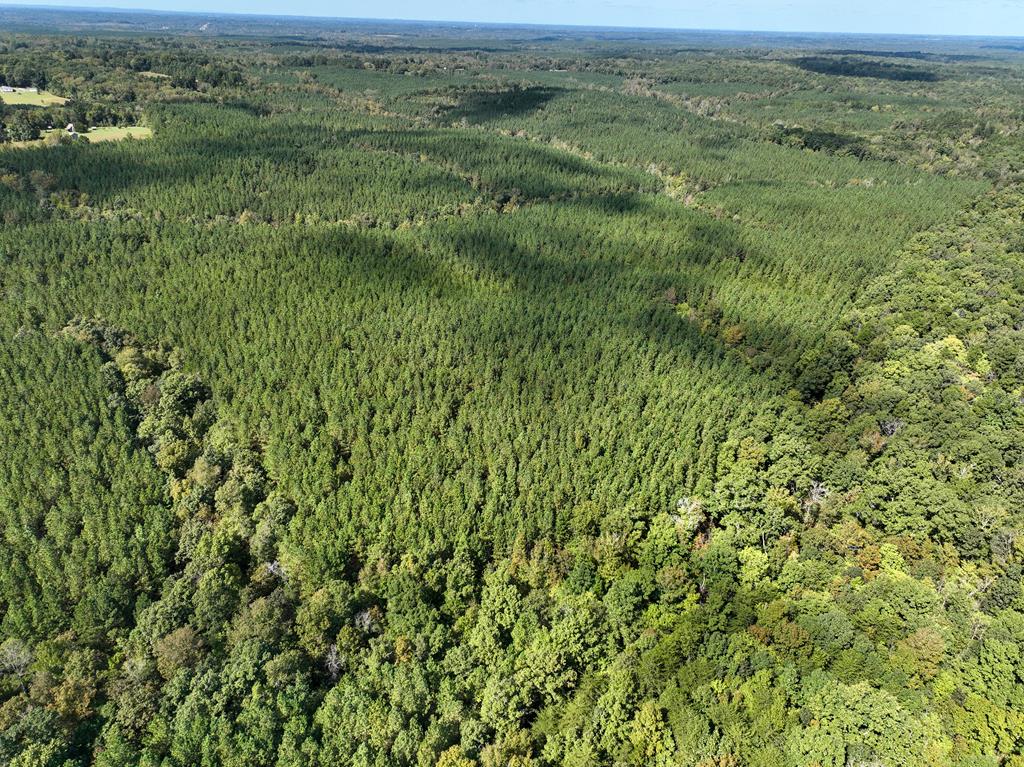 87.39 AC Virgilina Road