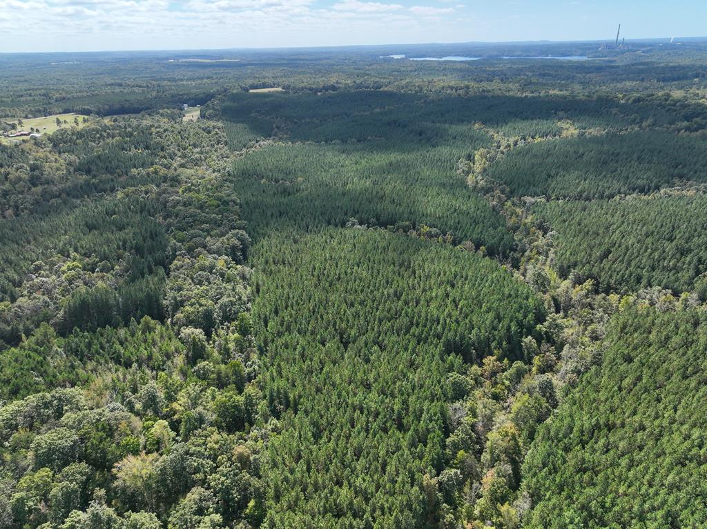 87.39 AC Virgilina Road
