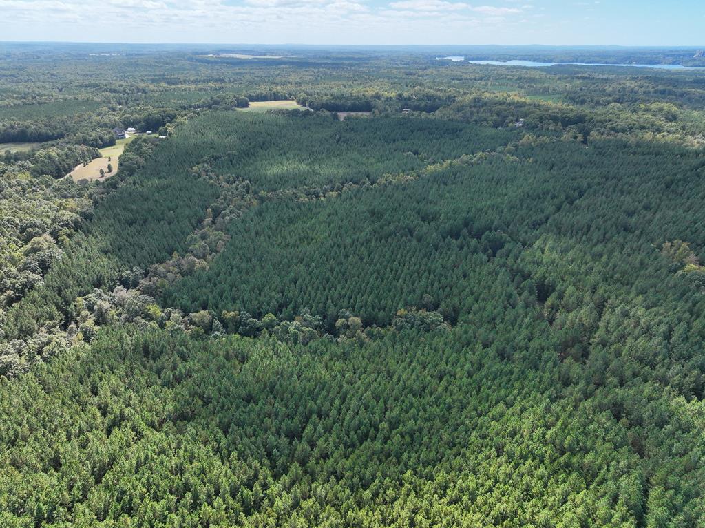 87.39 AC Virgilina Road