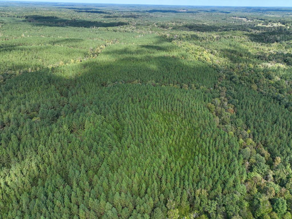 87.39 AC Virgilina Road