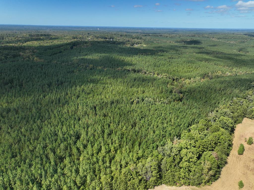 87.39 AC Virgilina Road