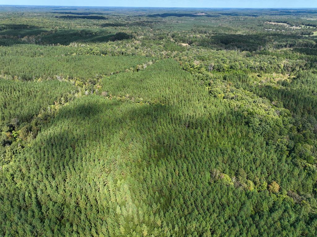 87.39 AC Virgilina Road