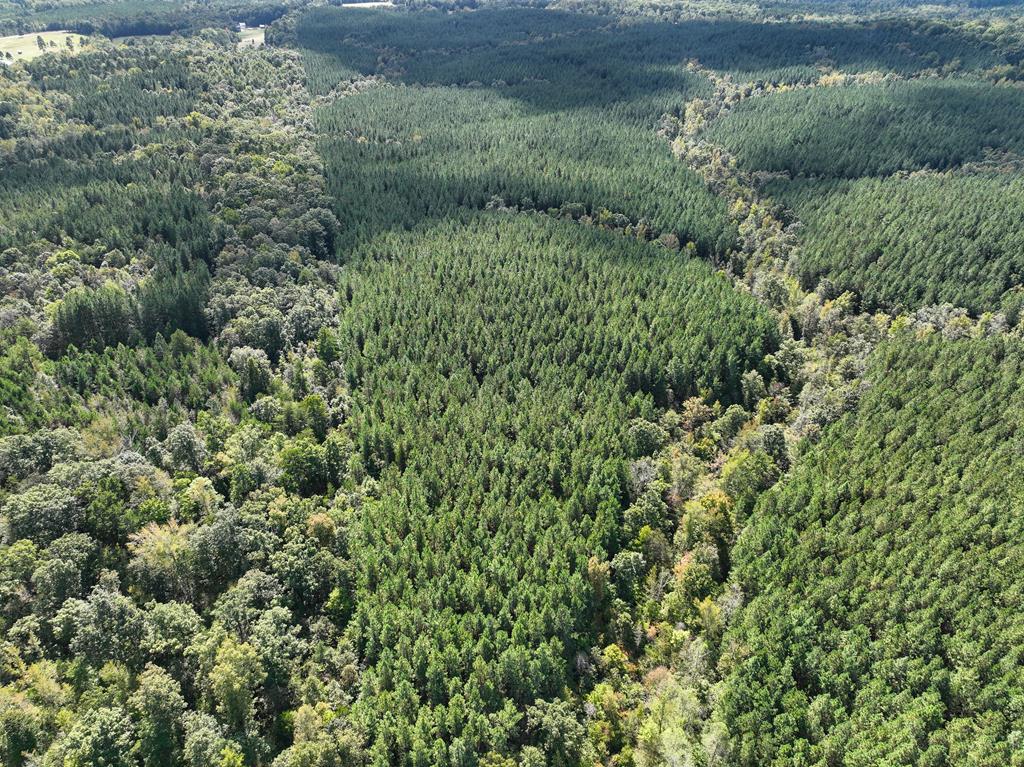 87.39 AC Virgilina Road