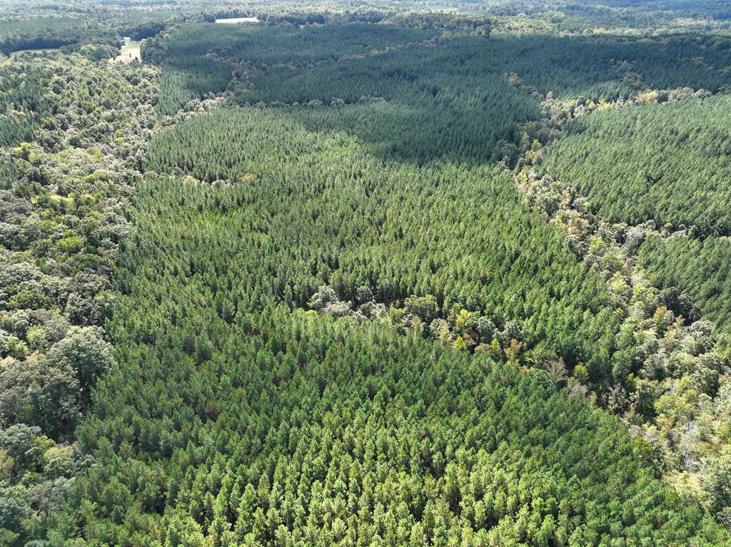 87.39 AC Virgilina Road