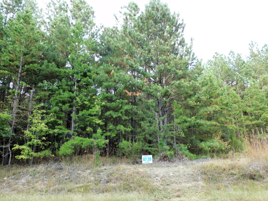 87.39 AC Virgilina Road