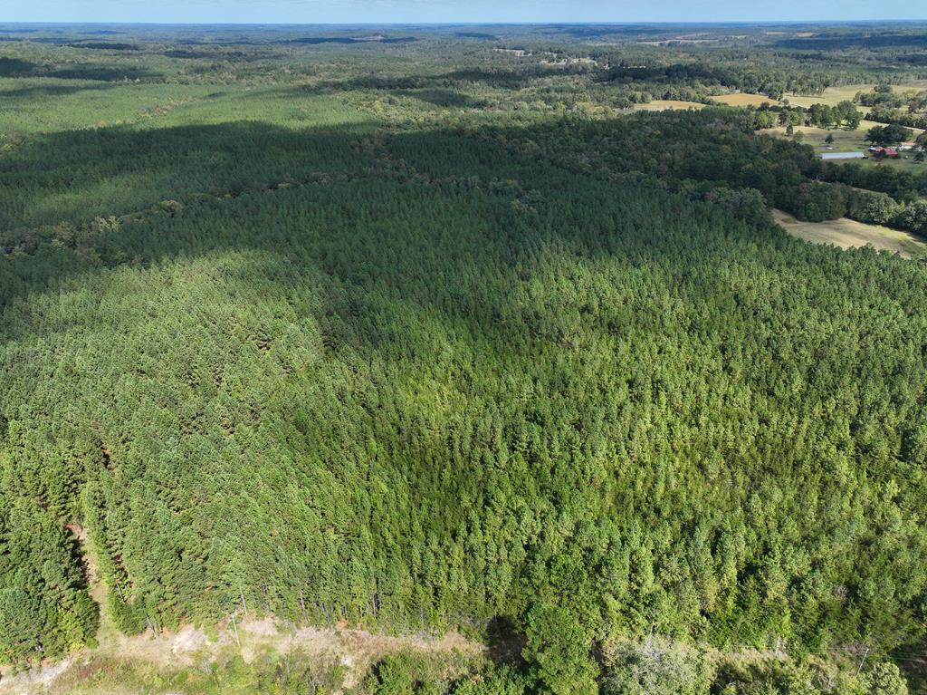 87.39 AC Virgilina Road