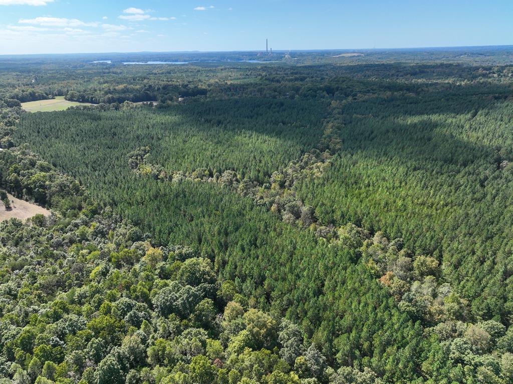 87.39 AC Virgilina Road