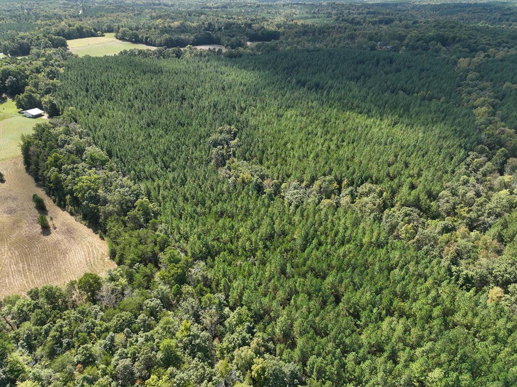 87.39 AC Virgilina Road