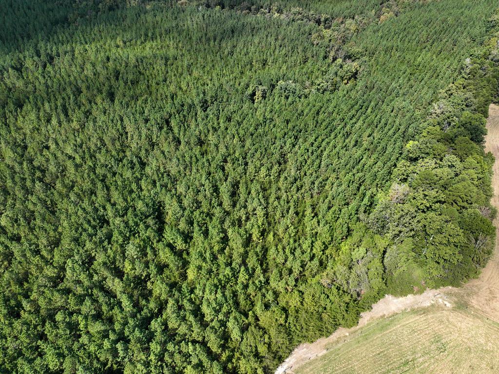 87.39 AC Virgilina Road