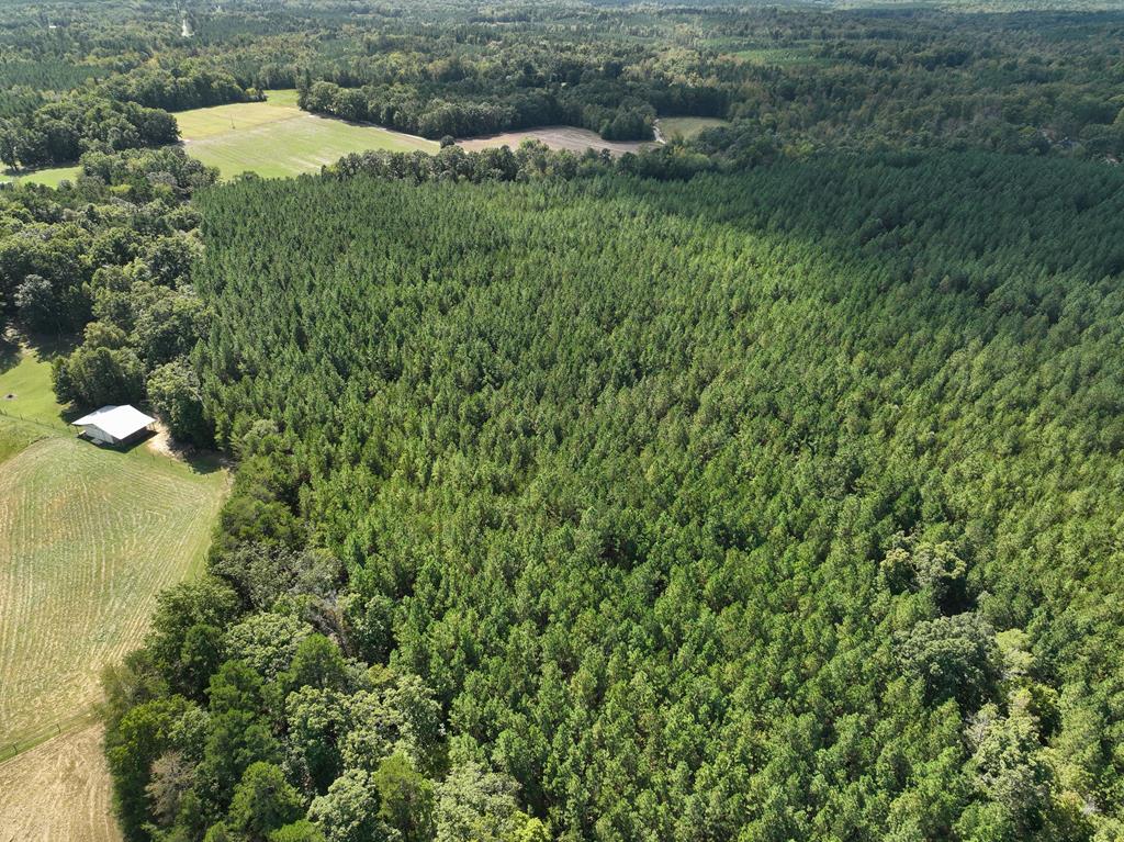87.39 AC Virgilina Road
