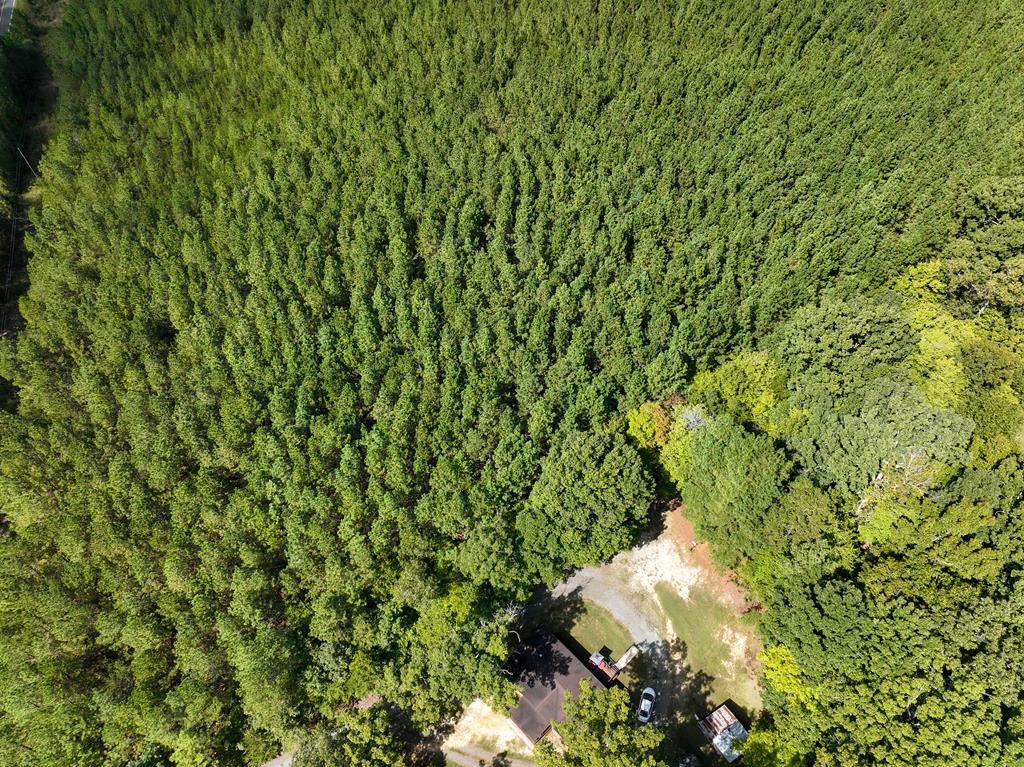 87.39 AC Virgilina Road
