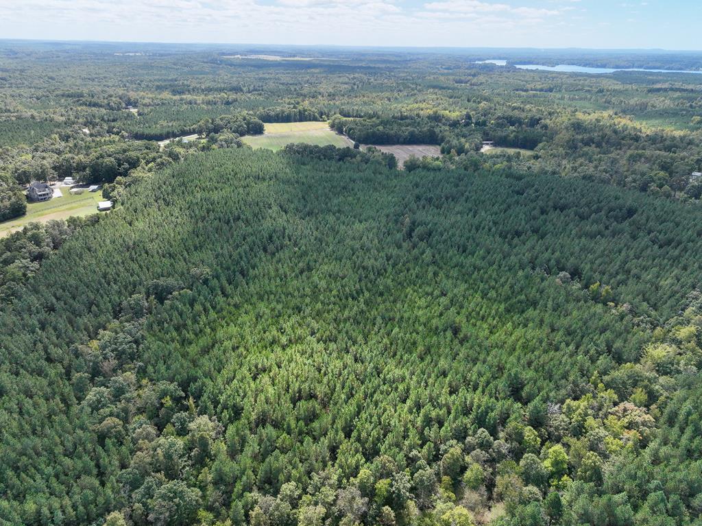 87.39 AC Virgilina Road